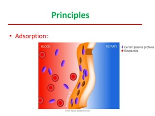 • Adsorption:
Principles
Prof. Yasse Abdelhamid
 