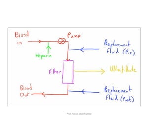 Prof. Yasse Abdelhamid
 