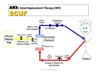 Prof. Yasse Abdelhamid
 