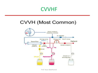 CVVHF
Prof. Yasse Abdelhamid
 