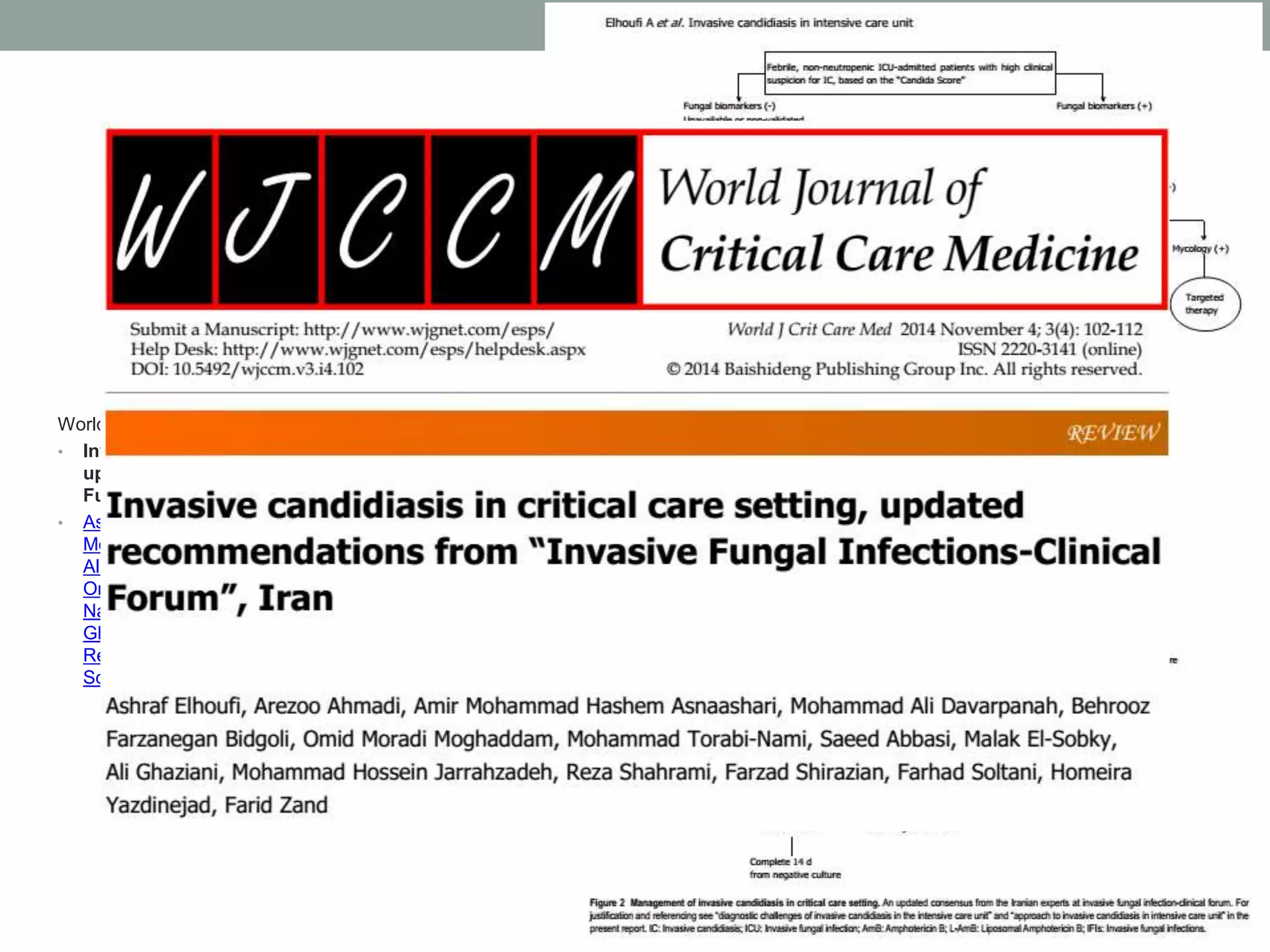 World J Crit Care Med. 2014 Nov 4; 3(4): 102–112.
• Invasive candidiasis in critical care setting,
updated recommendations from “Invasive
Fungal Infections-Clinical Forum”, Iran
• Ashraf Elhoufi, Arezoo Ahmadi, Amir
Mohammad Hashem Asnaashari, Mohammad
Ali Davarpanah, Behrooz Farzanegan Bidgoli,
Omid Moradi Moghaddam, Mohammad Torabi-
Nami, Saeed Abbasi, Malak El-Sobky, Ali
Ghaziani, Mohammad Hossein Jarrahzadeh,
Reza Shahrami, Farzad Shirazian, Farhad
Soltani, Homeira Yazdinejad, and Farid Zand
 