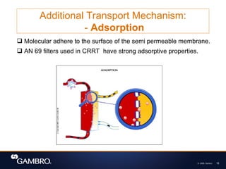 © 2008, Gambro 16
Additional Transport Mechanism:
- Adsorption
 Molecular adhere to the surface of the semi permeable membrane.
 AN 69 filters used in CRRT have strong adsorptive properties.
 