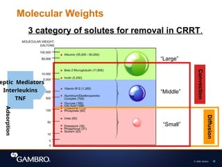© 2008, Gambro 18
Molecular Weights
“Small”
“Middle”
“Large”
3 category of solutes for removal in CRRT.
eptic Mediators
Interleukins
TNF
Convection
Diffusion
Adsorption
 