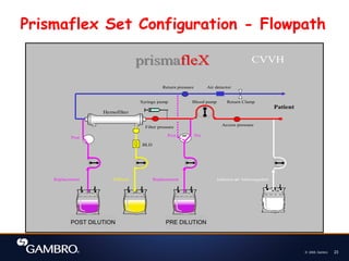© 2008, Gambro 23
CVVH
Replacement Effluent Replacement Infusion or Anticoagulant
Post or Pre
Post
Hemofilter
Syringe pump
Patient
Air detector
Return Clamp
BLD
prismafleX
prismafleX
Blood pump
Access pressure
Filter pressure
Return pressure
Prismaflex Set Configuration - Flowpath
PRE DILUTION
POST DILUTION
 