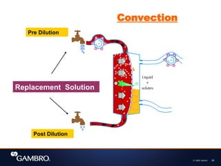 © 2008, Gambro 24
Pre Dilution
Post Dilution
Convection
Replacement Solution
 