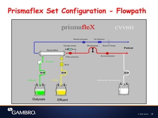 © 2008, Gambro 28
CVVHD
Dialysate Effluent Infusion or Anticoagulant
Dialysate
Hemofilter
Syringe pump
Patient
Air detector
Return Clamp
BLD
prismafleX
prismafleX
Blood pump
Access pressure
Filter pressure
Return pressure
Prismaflex Set Configuration - Flowpath
Dialysate Effluent
 