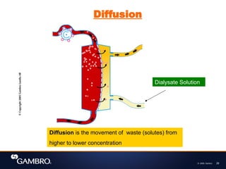 © 2008, Gambro 29
Dialysate Solution
Diffusion is the movement of waste (solutes) from
higher to lower concentration
Diffusion
 