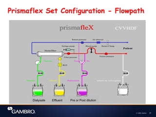 © 2008, Gambro 31
CVVHDF
Dialysate Effluent Replacement Infusion or Anticoagulant
Post or Pre
Dialysate
Hemofilter
Syringe pump
Patient
Air detector
Return Clamp
BLD
prismafleX
prismafleX
Blood pump
Access pressure
Filter pressure
Return pressure
Prismaflex Set Configuration - Flowpath
Effluent
Dialysate Pre or Post dilution
 