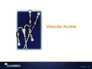 © 2008, Gambro 40
Vascular Access
 