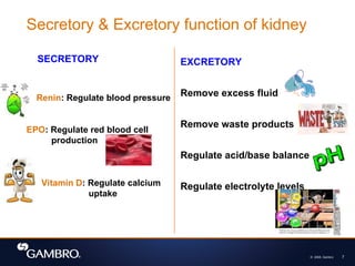 © 2008, Gambro 7
SECRETORY
Renin: Regulate blood pressure
EPO: Regulate red blood cell
production
Vitamin D: Regulate calcium
uptake
EXCRETORY
Remove excess fluid
Remove waste products
Regulate acid/base balance
Regulate electrolyte levels
Secretory & Excretory function of kidney
 