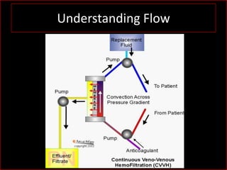 Basics of Continuous Renal Replacement Therapy | PPSX