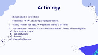 Testicular cancer is grouped into:
1. Seminomas: 30-40% of all types of testicular tumors.
2. Usually found in men aged 30-40 years and limited to the testes.
3. Non-seminomas: constitute 60% of all testicular tumors. Divided into subcategories:
a) Embryonic carcinoma
b) Yolk sac tumors
c) Teratoma
d) Stromal cell tumors
Aetiology
 