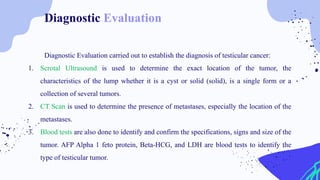 Diagnostic Evaluation carried out to establish the diagnosis of testicular cancer:
1. Scrotal Ultrasound is used to determine the exact location of the tumor, the
characteristics of the lump whether it is a cyst or solid (solid), is a single form or a
collection of several tumors.
2. CT Scan is used to determine the presence of metastases, especially the location of the
metastases.
3. Blood tests are also done to identify and confirm the specifications, signs and size of the
tumor. AFP Alpha 1 feto protein, Beta-HCG, and LDH are blood tests to identify the
type of testicular tumor.
Diagnostic Evaluation
 