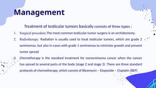 Treatment of testicular tumors basically consists of three types :
1. Surgical procedure.The most common testicular tumor surgery is an orchidectomy.
2. Radiotherapy. Radiation is usually used to treat testicular tumors, which are grade 2
seminomas, but also in cases with grade 1 seminomas to minimize growth and prevent
tumor spread
3. Chemotherapy is the standard treatment for nonseminoma cancer when the cancer
has spread to several parts of the body (stage 2 and stage 3). There are three standard
protocols of chemotherapy, which consist of Bleomycin – Etoposide – Cisplatin (BEP)
Management
 