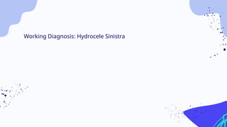 Working Diagnosis: Hydrocele Sinistra
 