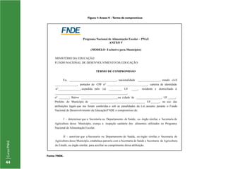 CursoPNAE
44
Figura 1: Anexo V – Termo de compromisso
Fonte: FNDE.
 