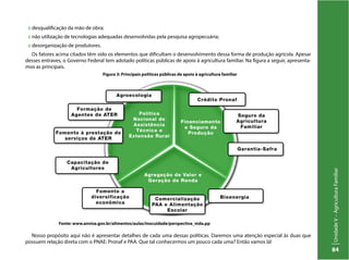 UnidadeV–AgriculturaFamiliar
84
:: desqualificação da mão de obra;
:: não utilização de tecnologias adequadas desenvolvidas pela pesquisa agropecuária;
:: desorganização de produtores.
Os fatores acima citados têm sido os elementos que dificultam o desenvolvimento dessa forma de produção agrícola. Apesar
desses entraves, o Governo Federal tem adotado políticas públicas de apoio à agricultura familiar. Na figura a seguir, apresenta-
mos as principais.
Figura 3: Principais políticas públicas de apoio à agricultura familiar
Fonte: www.anvisa.gov.br/alimentos/aulas/inocuidade/perspectiva_mda.pp
Nosso propósito aqui não é apresentar detalhes de cada uma dessas políticas. Daremos uma atenção especial às duas que
possuem relação direta com o PNAE: Pronaf e PAA. Que tal conhecermos um pouco cada uma? Então vamos lá!
 