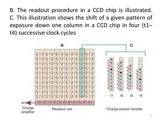 B. The readout procedure in a CCD chip is illustrated.
C. This illustration shows the shift of a given pattern of
exposure down one column in a CCD chip in four (t1–
t4) successive clock cycles
17
 