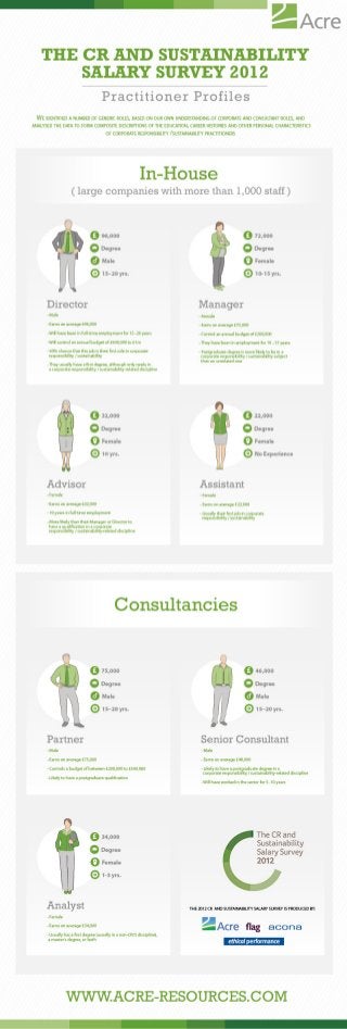 Infographic: Corporate Responsibility & Sustainability Practitioner Profiles