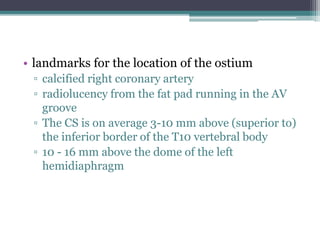 • landmarks for the location of the ostium
▫ calcified right coronary artery
▫ radiolucency from the fat pad running in the AV
groove
▫ The CS is on average 3-10 mm above (superior to)
the inferior border of the T10 vertebral body
▫ 10 - 16 mm above the dome of the left
hemidiaphragm
 