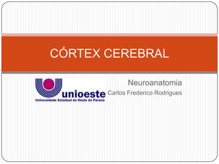 CÓRTEX CEREBRAL

                 Neuroanatomia
     Prof. Carlos Frederico Rodrigues
 