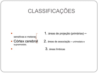 CLASSIFICAÇÕES


                           1. áreas de projeção (primárias) –
    sensitivas e motoras.
 Córtex cerebral           2. áreas de associação – unimodais e
    supramodais.

                            3. áreas límbicas
 