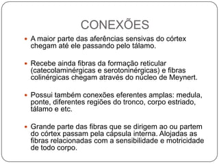 CONEXÕES
 A maior parte das aferências sensivas do córtex
 chegam até ele passando pelo tálamo.

 Recebe ainda fibras da formação reticular
 (catecolaminérgicas e serotoninérgicas) e fibras
 colinérgicas chegam através do núcleo de Meynert.

 Possui também conexões eferentes amplas: medula,
 ponte, diferentes regiões do tronco, corpo estriado,
 tálamo e etc.

 Grande parte das fibras que se dirigem ao ou partem
 do córtex passam pela cápsula interna. Alojadas as
 fibras relacionadas com a sensibilidade e motricidade
 de todo corpo.
 