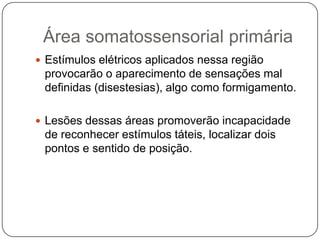 Área somatossensorial primária
 Estímulos elétricos aplicados nessa região
 provocarão o aparecimento de sensações mal
 definidas (disestesias), algo como formigamento.

 Lesões dessas áreas promoverão incapacidade
 de reconhecer estímulos táteis, localizar dois
 pontos e sentido de posição.
 