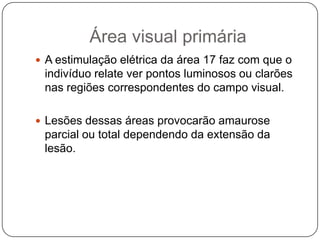 Área visual primária
 A estimulação elétrica da área 17 faz com que o
 indivíduo relate ver pontos luminosos ou clarões
 nas regiões correspondentes do campo visual.

 Lesões dessas áreas provocarão amaurose
 parcial ou total dependendo da extensão da
 lesão.
 