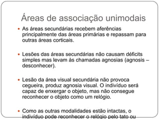 Áreas de associação unimodais
 As áreas secundárias recebem aferências
 principalmente das áreas primárias e repassam para
 outras áreas corticais.

 Lesões das áreas secundárias não causam déficits
 simples mas levam às chamadas agnosias (agnosis –
 desconhecer).

 Lesão da área visual secundária não provoca
 cegueira, produz agnosia visual. O indivíduo será
 capaz de enxergar o objeto, mas não consegue
 reconhecer o objeto como um relógio.

 Como as outras modalidades estão intactas, o
 indivíduo pode reconhecer o relógio pelo tato ou
 
