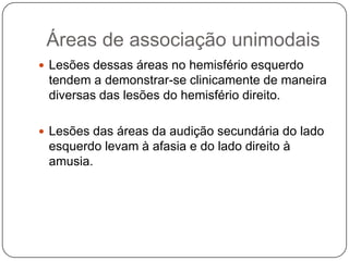 Áreas de associação unimodais
 Lesões dessas áreas no hemisfério esquerdo
 tendem a demonstrar-se clinicamente de maneira
 diversas das lesões do hemisfério direito.

 Lesões das áreas da audição secundária do lado
 esquerdo levam à afasia e do lado direito à
 amusia.
 
