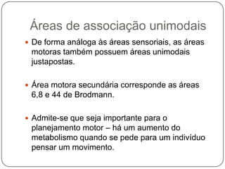Áreas de associação unimodais
 De forma análoga às áreas sensoriais, as áreas
 motoras também possuem áreas unimodais
 justapostas.

 Área motora secundária corresponde as áreas
 6,8 e 44 de Brodmann.

 Admite-se que seja importante para o
 planejamento motor – há um aumento do
 metabolismo quando se pede para um indivíduo
 pensar um movimento.
 