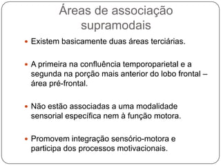 Áreas de associação
            supramodais
 Existem basicamente duas áreas terciárias.


 A primeira na confluência temporoparietal e a
 segunda na porção mais anterior do lobo frontal –
 área pré-frontal.

 Não estão associadas a uma modalidade
 sensorial específica nem à função motora.

 Promovem integração sensório-motora e
 participa dos processos motivacionais.
 