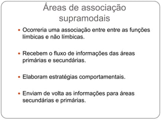 Áreas de associação
            supramodais
 Ocorreria uma associação entre entre as funções
 límbicas e não límbicas.

 Recebem o fluxo de informações das áreas
 primárias e secundárias.

 Elaboram estratégias comportamentais.


 Enviam de volta as informações para áreas
 secundárias e primárias.
 