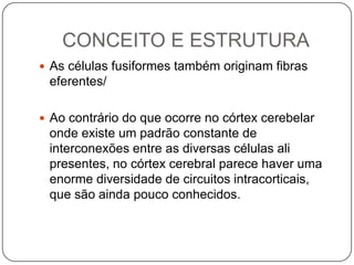 CONCEITO E ESTRUTURA
 As células fusiformes também originam fibras
 eferentes/

 Ao contrário do que ocorre no córtex cerebelar
 onde existe um padrão constante de
 interconexões entre as diversas células ali
 presentes, no córtex cerebral parece haver uma
 enorme diversidade de circuitos intracorticais,
 que são ainda pouco conhecidos.
 