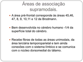Áreas de associação
            supramodais.
 A área pré-frontal corresponde às áreas 45,46,
 47, 8, 9, 10,11 e 12 de Brodmann.

 Bem desenvolvida no cérebro humano -1/4 da
 superfície total do cérebro.

 Recebe fibras de todas as áreas unimodais, da
 área terciária temporoparietal e tem ainda
 conexões com o sistema límbico e se comunica
 com o núcleo dorsomedial do tálamo.
 