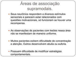 Áreas de associação
             supramodais.
 Seus neurônios respondem a diversos estímulos
 sensoriais e parecem estar relacionados com
 questões motivacionais, só funcionam se houver uma
 recompensa.

 As observações de pacientes com lesões nessa área
 não se manifestam de maneira uniforme.

 Muitos pacientes exibem dificuldade de concentração
 e atenção. Outros desenvolvem abulia ou euforia.

 Possuem dificuldade de modificar estratégias
 comportamentais.
 