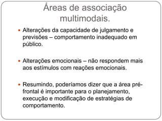 Áreas de associação
             multimodais.
 Alterações da capacidade de julgamento e
 previsões – comportamento inadequado em
 público.

 Alterações emocionais – não respondem mais
 aos estímulos com reações emocionais.

 Resumindo, poderíamos dizer que a área pré-
 frontal é importante para o planejamento,
 execução e modificação de estratégias de
 comportamento.
 