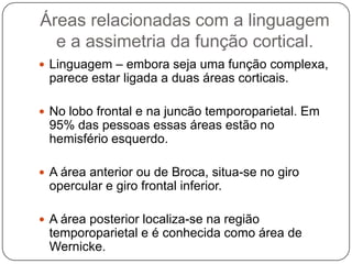 Áreas relacionadas com a linguagem
  e a assimetria da função cortical.
 Linguagem – embora seja uma função complexa,
 parece estar ligada a duas áreas corticais.

 No lobo frontal e na juncão temporoparietal. Em
 95% das pessoas essas áreas estão no
 hemisfério esquerdo.

 A área anterior ou de Broca, situa-se no giro
 opercular e giro frontal inferior.

 A área posterior localiza-se na região
 temporoparietal e é conhecida como área de
 Wernicke.
 