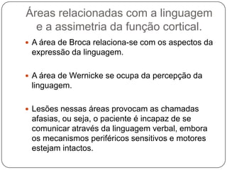 Áreas relacionadas com a linguagem
  e a assimetria da função cortical.
 A área de Broca relaciona-se com os aspectos da
 expressão da linguagem.

 A área de Wernicke se ocupa da percepção da
 linguagem.

 Lesões nessas áreas provocam as chamadas
 afasias, ou seja, o paciente é incapaz de se
 comunicar através da linguagem verbal, embora
 os mecanismos periféricos sensitivos e motores
 estejam intactos.
 