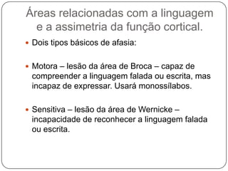 Áreas relacionadas com a linguagem
  e a assimetria da função cortical.
 Dois tipos básicos de afasia:


 Motora – lesão da área de Broca – capaz de
 compreender a linguagem falada ou escrita, mas
 incapaz de expressar. Usará monossílabos.

 Sensitiva – lesão da área de Wernicke –
 incapacidade de reconhecer a linguagem falada
 ou escrita.
 