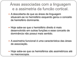 Áreas associadas com a linguagem
  e a assimetria da funcão cortical.
 A descoberta de que as áreas da linguagem
  situavam-se no hemisfério esquerdo gerou o conceito
  de hemisfério dominante.

 Hoje sabe-se que o hemisfério direito é mais
  desenvolvido em outras funções e esse conceito de
  dominância não possui mais sentido.

 A assimetria funcional é uma característica das áreas
  de associação.

 Hoje sabe-se que os hemisférios são assimétricos até
  na macroscopia.
 