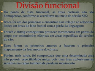 Do ponto de vista funcional, as áreas corticais não são
homogêneas, conforme se acreditava no início do século XIX;
Broca foi um dos primeiros a encontrar essa relação ao relacionar
lesões em áreas do lobo frontal com a perda da linguagem;
Fritsch e Hitzig conseguiram provocar movimentos em partes do
corpo por estimulações elétricas em áreas específicas do cérebro
do cão;
Esses foram os primeiros autores a fazerem o primeiro
mapeamento da área motora do córtex;
Porém, mais tarde, foi comprovada que uma determinada área
não possuía especificidade única, pois uma área exclusivamente
sensitiva era capaz também de produzir movimento.
 