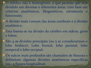 O cérebro não é homogêneo, o que permite que seja
dividido em diversas e diferentes áreas, com base em
critérios anatômicos, filogenéticos, estruturais e
funcionais;
A divisão mais comum das áreas cerebrais é a divisão
anatômica;
Esta baseia-se na divisão do cérebro em sulcos, giros
e lobos;
São 4 as divisões principais (ou 5 se considerarmos o
lobo límbico): Lobo frontal, lobo parietal, lobo
temporal e lobo occiptal;
Os sulcos mais profundos são chamados de fissuras e
delimitam algumas divisões anatômicas específicas
(ex.: a fissura longitudinal.
 
