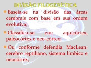 Baseia-se na divisão das áreas
cerebrais com base em sua ordem
evolutiva;
Classifica-se em: aquicórtex,
paleocórtex e neo-córtex;
Ou conforme defendia MacLean:
cérebro reptiliano, sistema límbico e
neocórtex;
 
