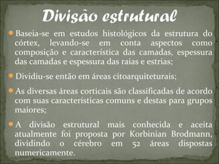 Baseia-se em estudos histológicos da estrutura do
córtex, levando-se em conta aspectos como
composição e característica das camadas, espessura
das camadas e espessura das raias e estrias;
Dividiu-se então em áreas citoarquiteturais;
As diversas áreas corticais são classificadas de acordo
com suas características comuns e destas para grupos
maiores;
A divisão estrutural mais conhecida e aceita
atualmente foi proposta por Korbinian Brodmann,
dividindo o cérebro em 52 áreas dispostas
numericamente.
 