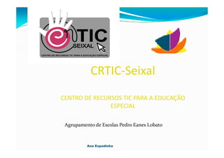 CRTIC-Seixal
CENTRO DE RECURSOS TIC PARA A EDUCAÇÃO
               ESPECIAL

 Agrupamento de Escolas Pedro Eanes Lobato



          Ana Espadinha
 