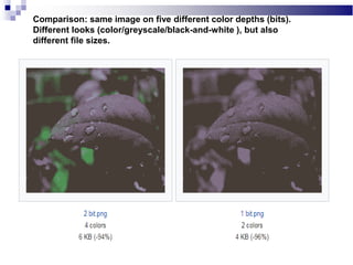 Comparison: same image on five different color depths (bits).
Different looks (color/greyscale/black-and-white ), but also
different file sizes.
 