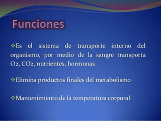 Sistema circulatorio