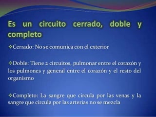 Sistema circulatorio